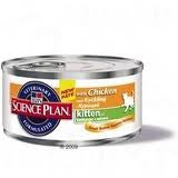 Hill's Science Plan Feline Adult - Daisy Cosmes