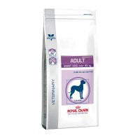 Royal Canin Adult Giant Dog - Daisy Cosmes
