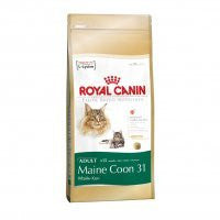 Royal Canin Maine Coon Adulto - Daisy Cosmes