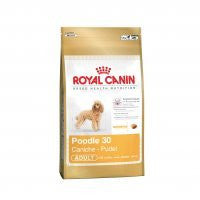 Royal Canin Poodle Caniche Adulto - Daisy Cosmes
