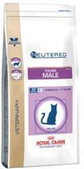 Royal Canin Young Male Feline - Daisy Cosmes